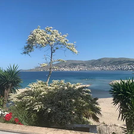 Dodona Σαράντα