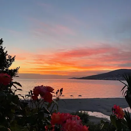 Dodona Σαράντα