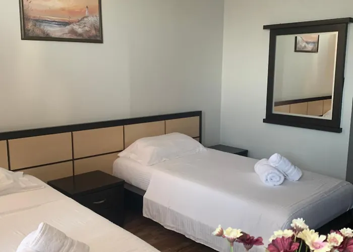 酒店 多多纳酒店 4*